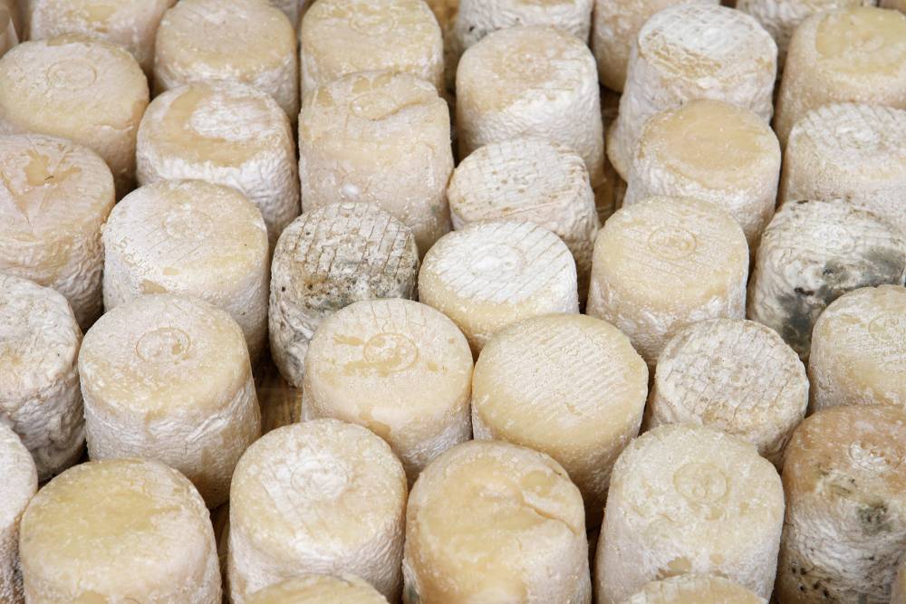 Fromage fermier près de Orléans
