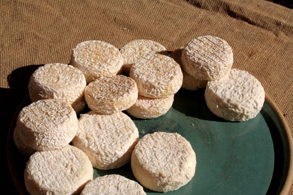 Fromage artisanal près de Orléans