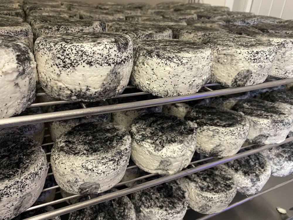 fromage de chevre