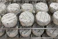 Fromage rond