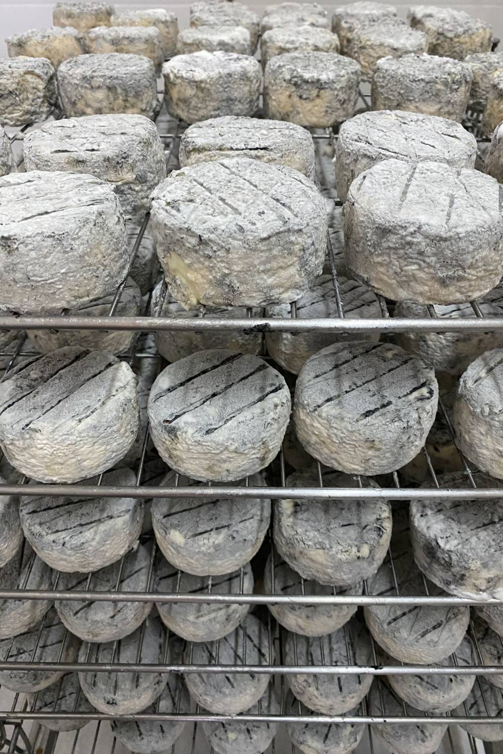 fromages